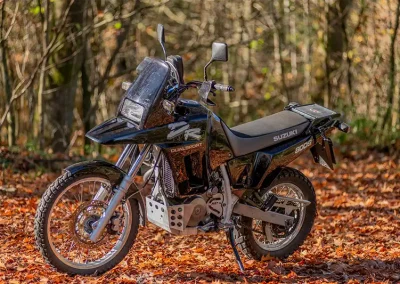 Suzuki DR800 Big 084